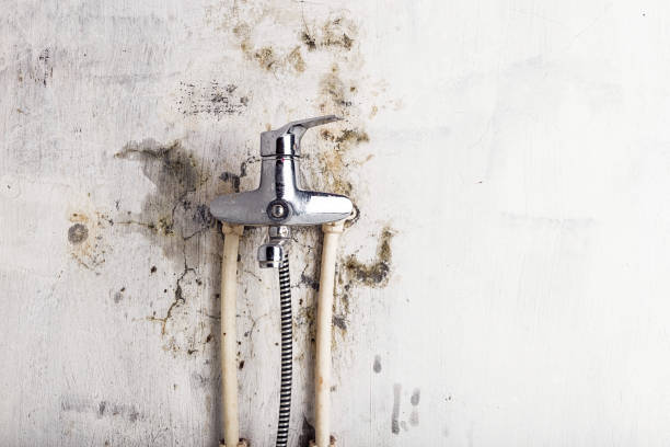 Certified Mold Removal in Atco, NJ